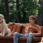 aceste-5-filme-va-vor-pune-in-dispozitie-si-va.webp.webp