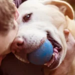 cum-sa-stii-daca-cainele-tau-te-iubeste-medicul-veterinar.webp.webp