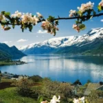 sarbatoare-astazi-18-mai-ce-nu-trebuie-neaparat-facut-semne.webp.webp