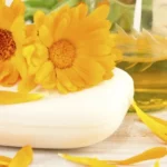 top-3-moduri-de-a-folosi-calendula-un-gradinar-ne.webp.webp