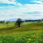 vacanta-astazi-16-mai-ce-nu-puteti-face-cine-are.webp.webp