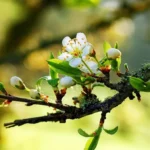 vacanta-astazi-22-mai-ce-sa-nu-faci-si-semnele.webp.webp