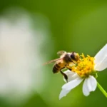 vacanta-astazi-5-iunie-de-ce-nu-puteti-dormi-mult.webp.webp
